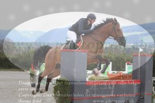 ref. photo 3139395