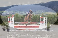 ref. photo 3139406