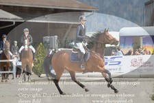 ref. photo 3139414