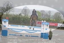 ref. photo 3139434