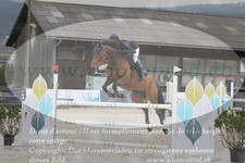 ref. photo 3139438