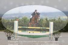 ref. photo 3139443