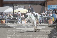 ref. photo 3139485