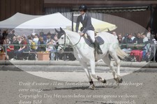 ref. photo 3139486