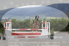ref. photo 3139489