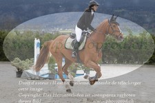 ref. photo 3139490