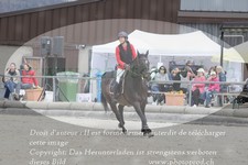 ref. photo 3139506