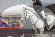 ref. photo 3139546