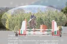 ref. photo 3139558