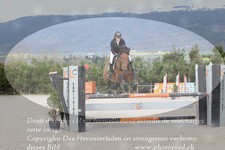 ref. photo 3139581