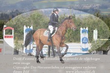 ref. photo 3139584