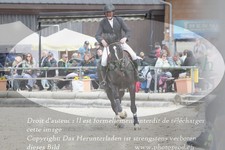 ref. photo 3139614