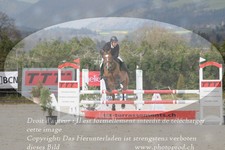 ref. photo 3139625