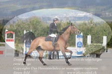 ref. photo 3139626