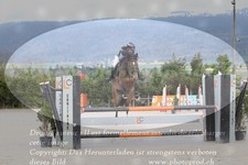 ref. photo 3139645