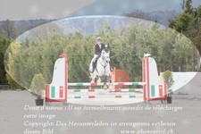 ref. photo 3139651
