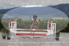 ref. photo 3139656