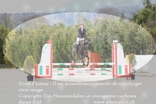 ref. photo 3139670