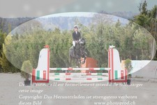 ref. photo 3139678