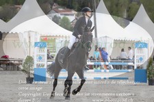 ref. photo 3139681