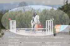 ref. photo 3139703