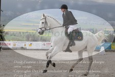 ref. photo 3139714