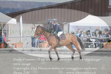 ref. photo 3139736