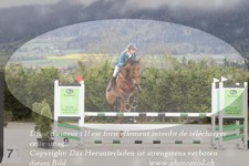 ref. photo 3139740