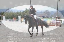 ref. photo 3139761