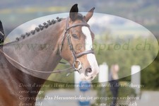 ref. photo 3139791