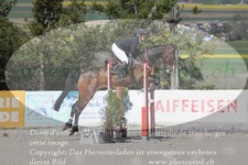 ref. photo 3139792