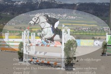 ref. photo 3139802