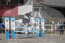 ref. photo 3139805