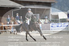 ref. photo 3139831
