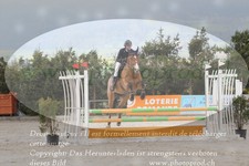 ref. photo 3139841