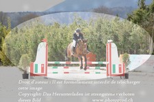 ref. photo 3139844