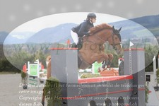 ref. photo 3139860