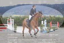 ref. photo 3139863