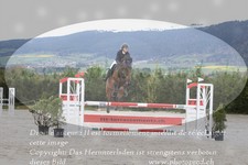 ref. photo 3139879