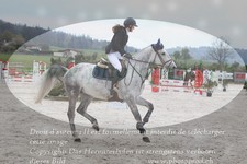 ref. photo 3139899