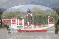 ref. photo 3139903