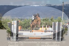 ref. photo 3139912