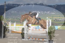 ref. photo 3139913