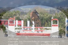 ref. photo 3139914