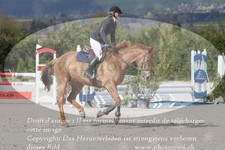 ref. photo 3139915