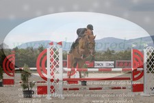 ref. photo 3139918