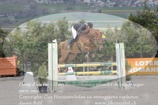 ref. photo 3139920