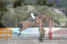 ref. photo 3139922