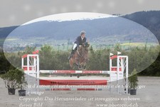 ref. photo 3139925