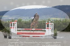 ref. photo 3139936